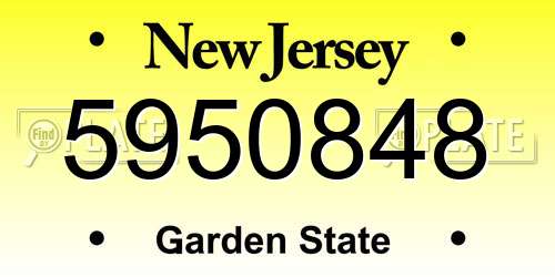 5950848 New Jersey License Plate