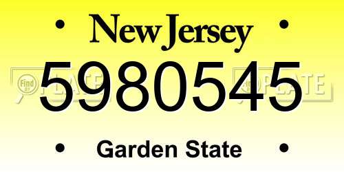 5980545 New Jersey License Plate