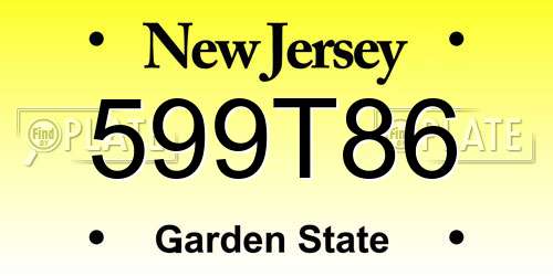 599T86 New Jersey License Plate