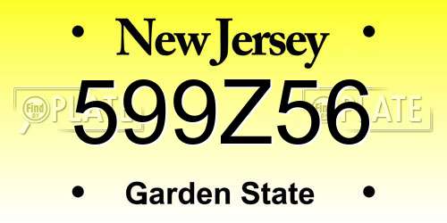599Z56 New Jersey License Plate