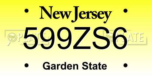 599ZS6 New Jersey License Plate