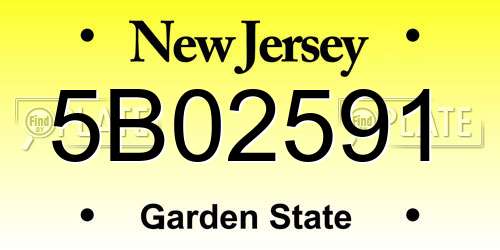 5B02591 New Jersey License Plate