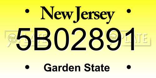 5B02891 New Jersey License Plate