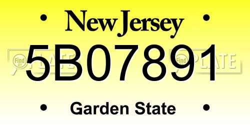 5B07891 New Jersey License Plate
