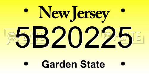 5B20225 New Jersey License Plate