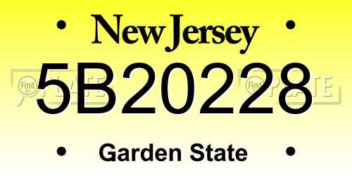 5B20228 New Jersey License Plate
