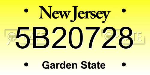 5B20728 New Jersey License Plate