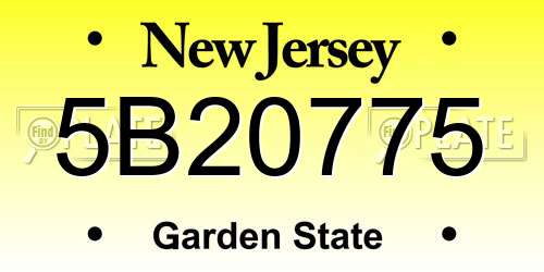 5B20775 New Jersey License Plate