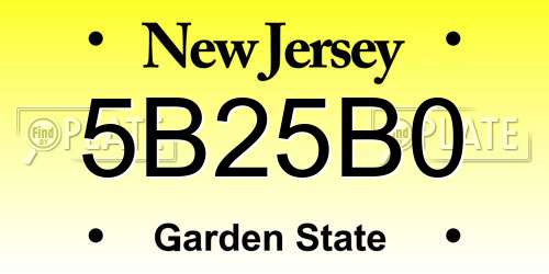 5B25B0 New Jersey License Plate