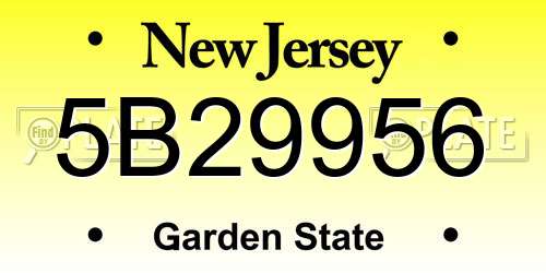 5B29956 New Jersey License Plate