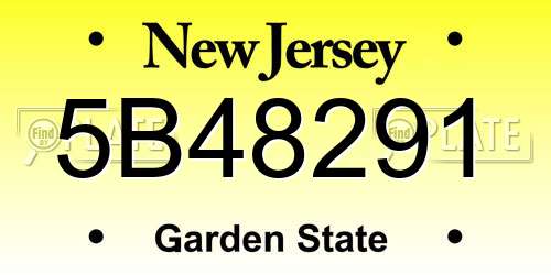 5B48291 New Jersey License Plate