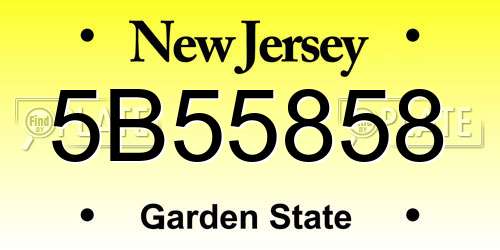 5B55858 New Jersey License Plate