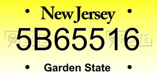5B65516 New Jersey License Plate