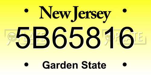 5B65816 New Jersey License Plate