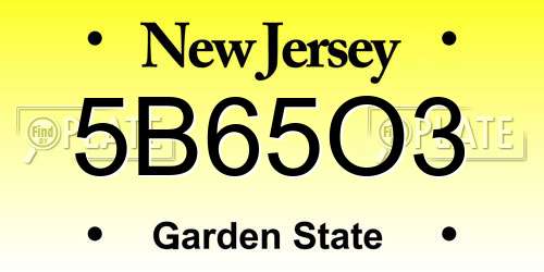 5B65O3 New Jersey License Plate