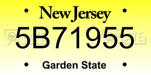 5B71955 New Jersey License Plate