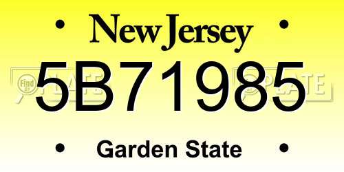 5B71985 New Jersey License Plate