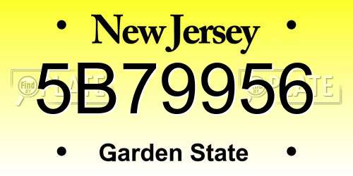 5B79956 New Jersey License Plate
