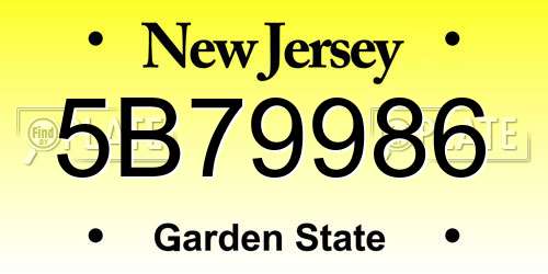 5B79986 New Jersey License Plate