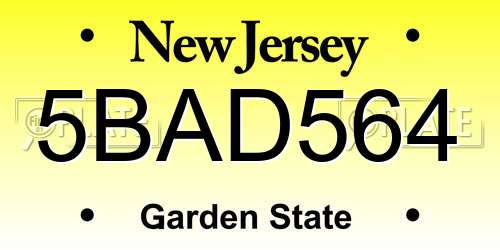 5BAD564 New Jersey License Plate
