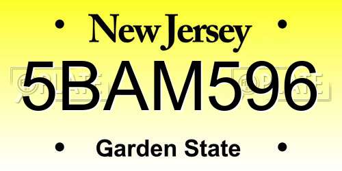 5BAM596 New Jersey License Plate