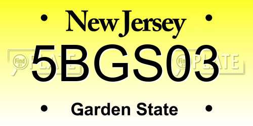 5BGS03 New Jersey License Plate