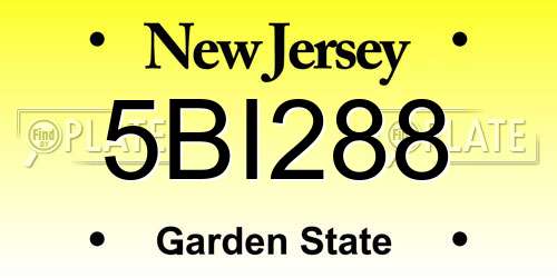 5BI288 New Jersey License Plate