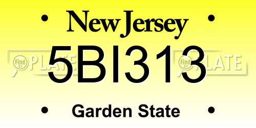 5BI313 New Jersey License Plate