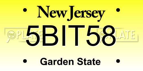 5BIT58 New Jersey License Plate