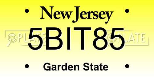 5BIT85 New Jersey License Plate