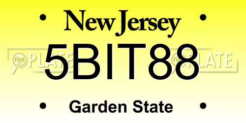 5BIT88 New Jersey License Plate