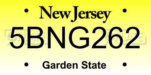 5BNG262 New Jersey License Plate