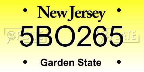 5BO265 New Jersey License Plate