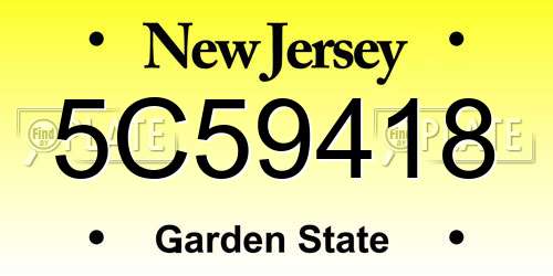 5C59418 New Jersey License Plate