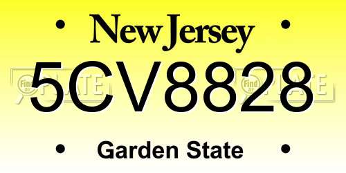 5CV8828 New Jersey License Plate