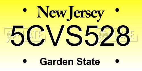 5CVS528 New Jersey License Plate