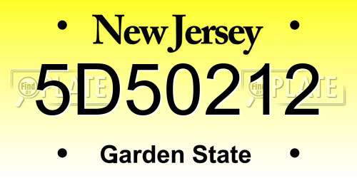 5D50212 New Jersey License Plate