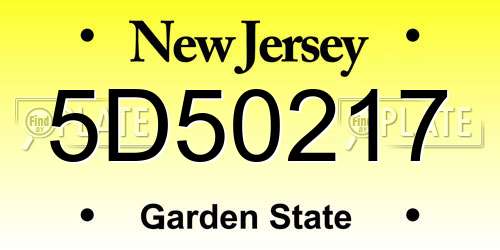 5D50217 New Jersey License Plate