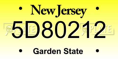 5D80212 New Jersey License Plate