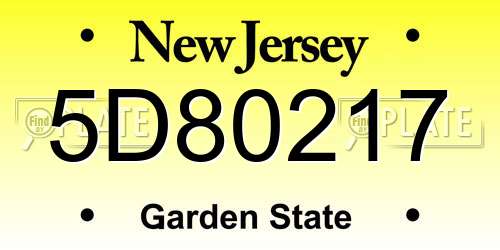 5D80217 New Jersey License Plate