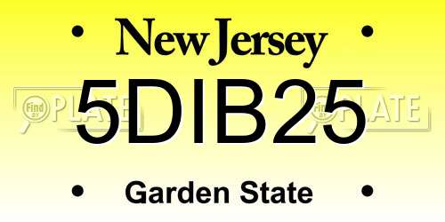 5DIB25 New Jersey License Plate
