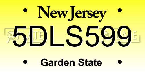 5DLS599 New Jersey License Plate
