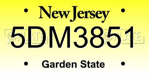 5DM3851 New Jersey License Plate