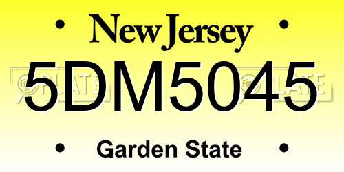 5DM5045 New Jersey License Plate