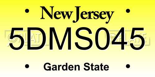 5DMS045 New Jersey License Plate