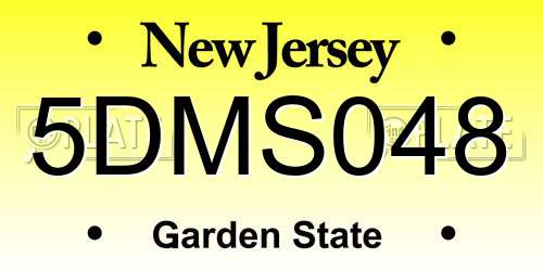 5DMS048 New Jersey License Plate