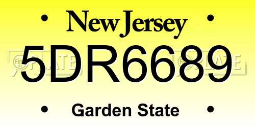 5DR6689 New Jersey License Plate