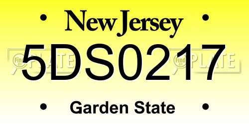 5DS0217 New Jersey License Plate