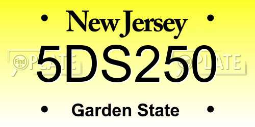 5DS250 New Jersey License Plate