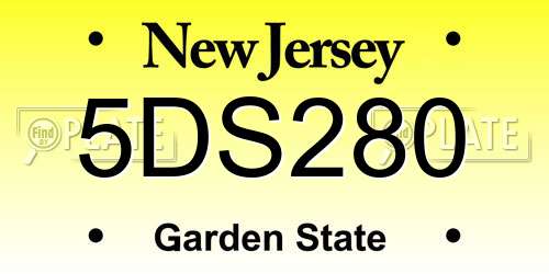 5DS280 New Jersey License Plate